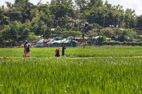 Kutupalong-Balukhali refugee settlement, Camp 1E / Foto. D.Wach/ARICA 